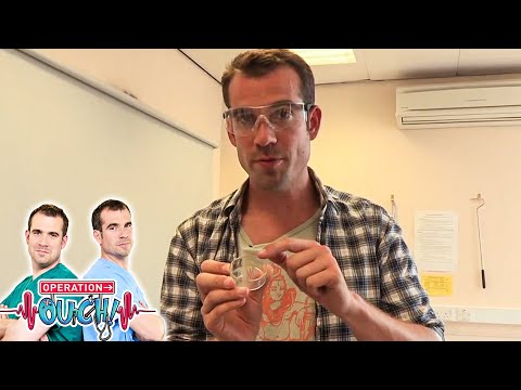 Recogida de veneno de serpiente para la medicina | Operation Ouch en Español