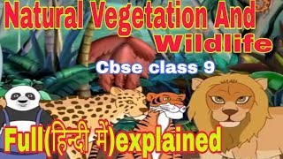 Natural Vegetation And Wildlife FULL(हिन्दी में)eXplained || CBSE CLASS 9 EXPLANATION