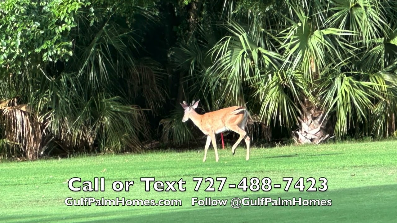 Guru Review Cypress Run Golf Club