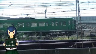 JR西日本113系 東海道線を行く