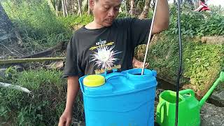 aplikasi Eco farming premium ( - 3) hari sebelum tanam pada tanaman cabe keriting