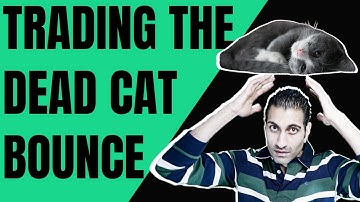 Trading the Dead Cat Bounce Pattern