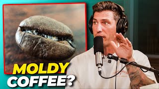 Debunking Coffee Myths: Is Mold a Concern?