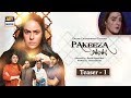 Watch New Drama Serial "Pakeeza Phupho" [Teaser 1] ARY Digital Online In Hd