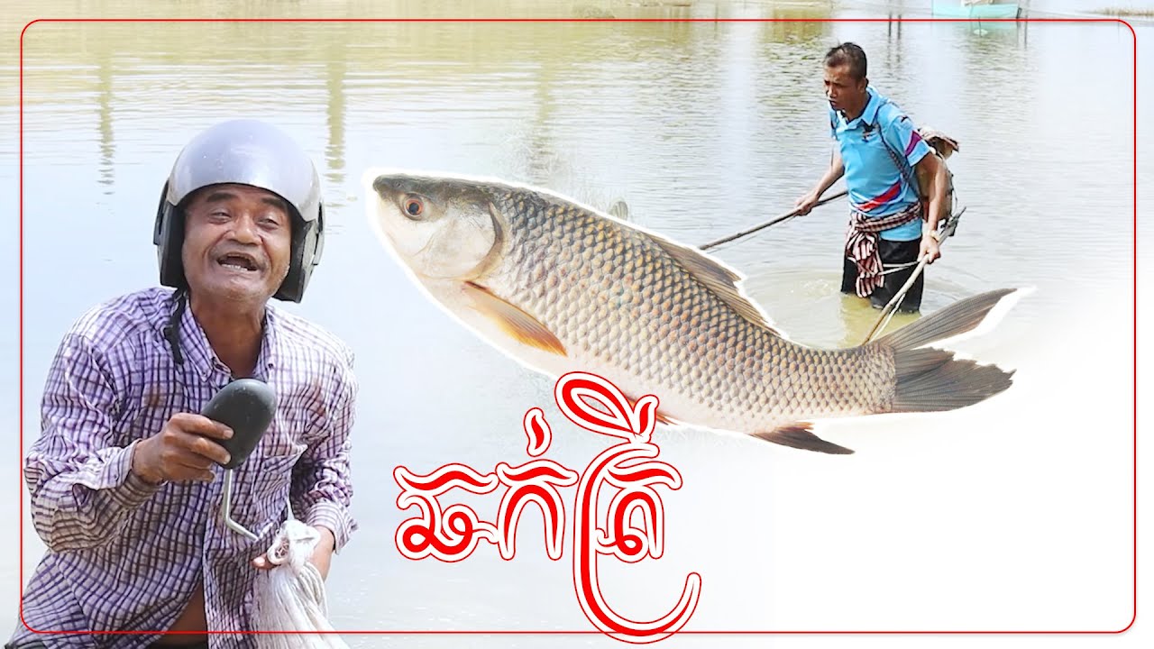 រឿង ឆក់ត្រី