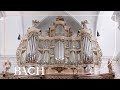 Bach - Liebster Jesu, wir sind hier BWV 730 - Wiersinga | Netherlands Bach Society