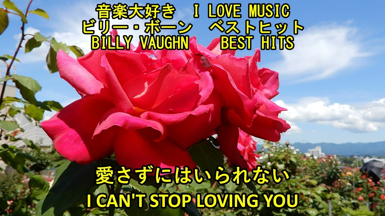 音楽大好き ビリー・ヴォーン楽団 / 愛さずにはいられない I LOVE