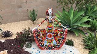 Cactus and Succulent Garden Installation Grand Reveal in Tustin