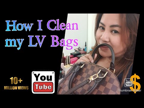 How to clean Louis Vuitton Bag & Tips on How to protect in retain in Shape | Alma BB & TURENE MM ...