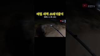 #미라클모닝1711일차 #플로깅 #plogging #오늘도저는당연한일상하나를마쳤습니다 #풀영상은_유튜브_조렌TV 