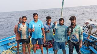 💢Tasty 💯We Eat a Delicious Fish Fry With Ice Biriyani🤤