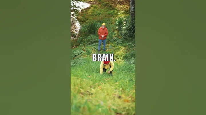 Zombie Ants: The Parasite's Brain Hack