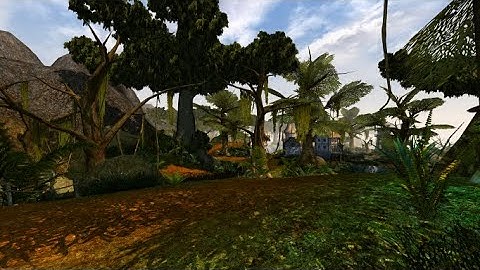 Seyda neen in 2022 4K NOT 60fps  OpenMW modded with zesterer shaders