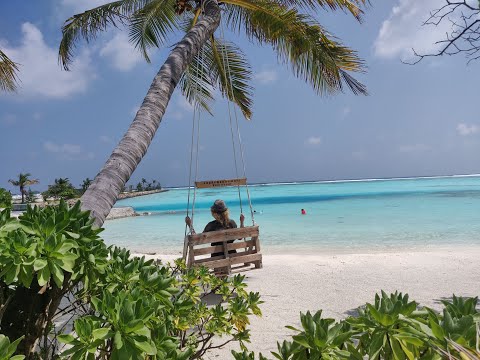 Vidéo: Les Meilleures Choses à Faire à Dhiffushi, Maldives, Avec Un Budget