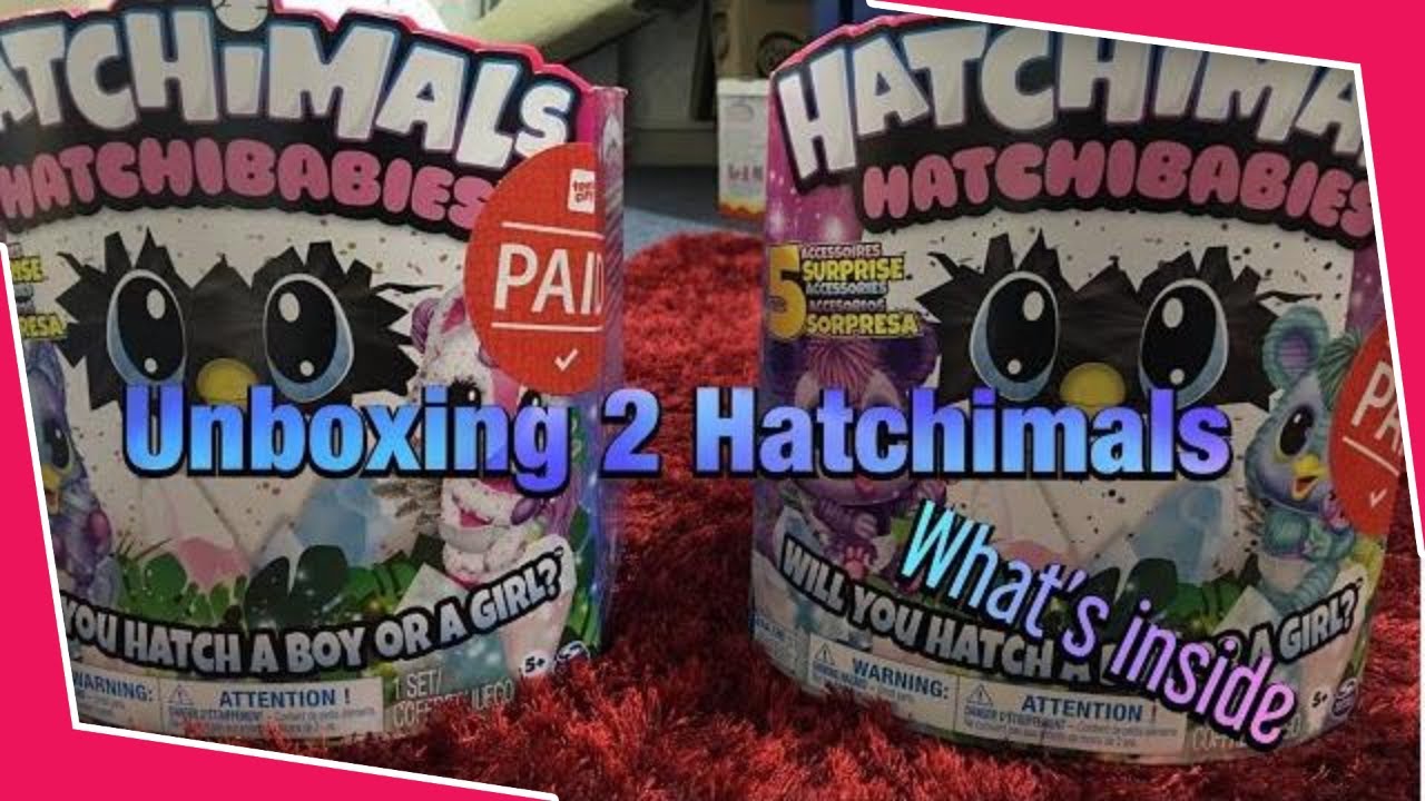 What's Inside  2 Interactive Baby Hatchimals surprise eggs