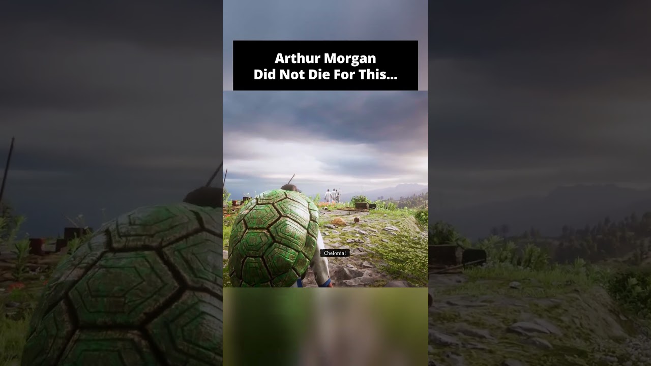 John Joins The Chelonian Cult🐢 