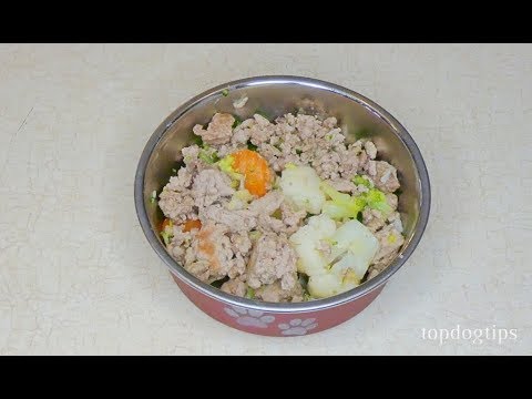 homemade-dog-food-recipe-for-skin-allergies