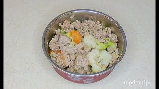 3 Homemade Allergy Dog Food Recipes | Carlson Pet Products
