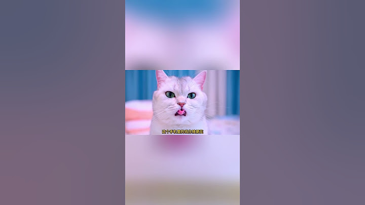 小猫咪偷偷藏起来，害怕主人把自己丢掉#猫咪 #铲屎官 #猫主子 #七宝小圆子