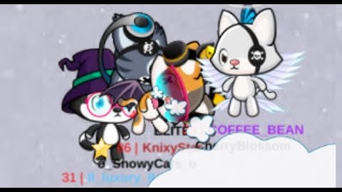 All of your Meow Playground pain in one video!