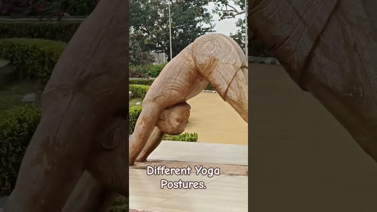 🧘&zwj;♂️ Different Yoga Postures Statues | Barunei Park near Maa Barunei Hill, Khordha 🧘&zwj;♀️