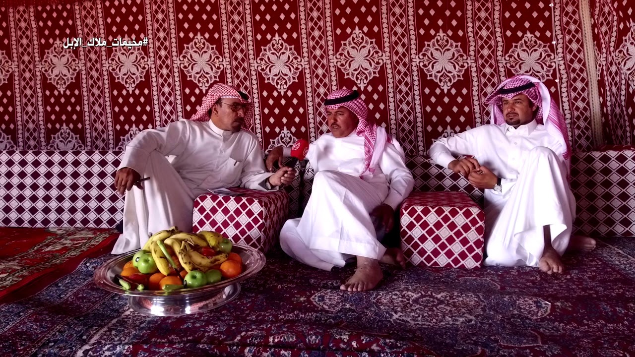 برنامج مخيمات ملاك الابل - الحلقه الاولى