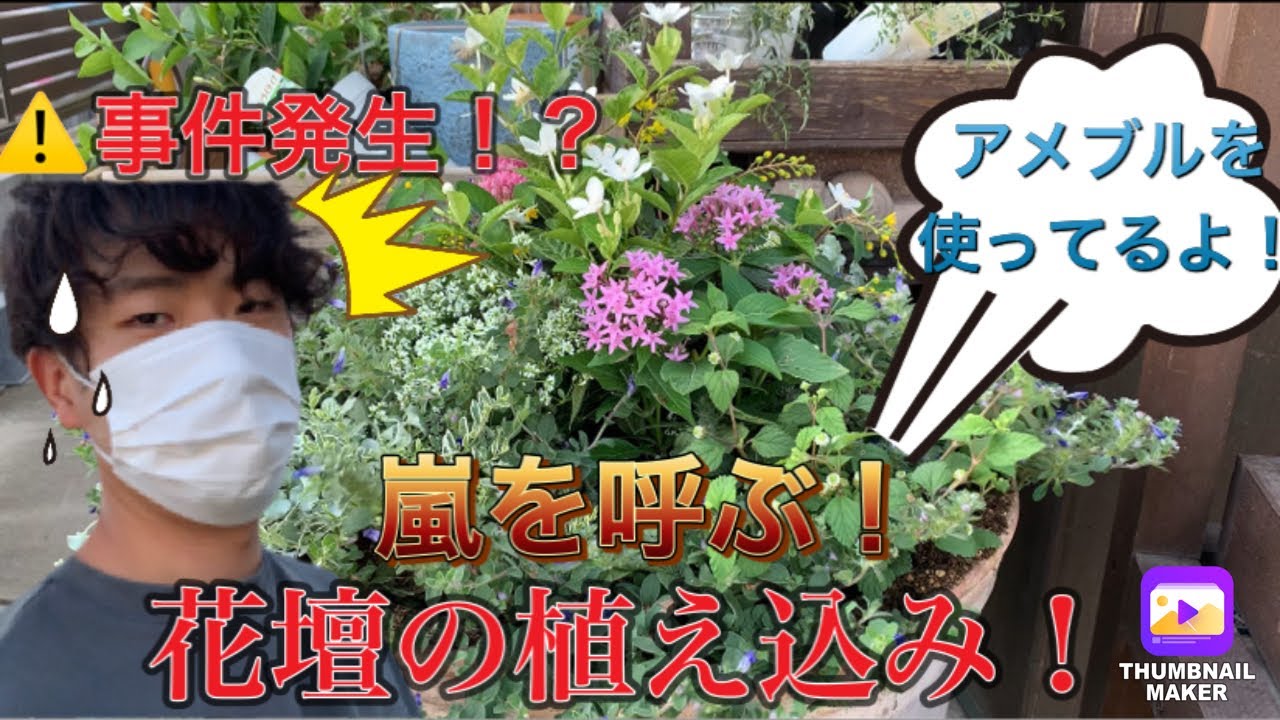 紋屋井関 帯 花 ブルーグレー | www.kmsedu.in