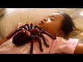 Spider Crawl Into Donna&#39;s Body While She Is Sleeping