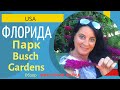 Достопримечательности в штате Флорида/США- Парк Busch Gardens. Часть 6