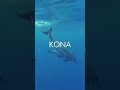 Aloha, Hawaii with Norwegian Cruise Line  🏝️ 🛳️