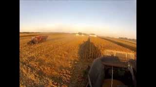 2013 Corn Harvest in Northern Indiana