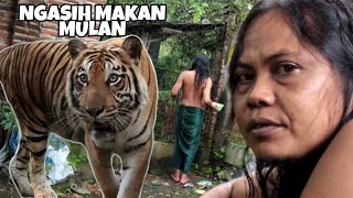 BEGINILAH CARA ABDULLAH SHOLEH NGASIH MAKAN HARIMAU SI MULAN.!!