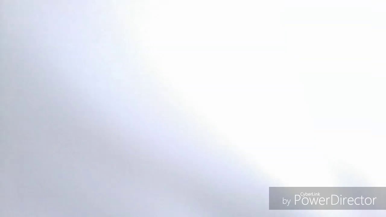 Questo E ICiccio Lo Pio Un Bugino YouTube questo-e-iciccio-lo-pio-un-bugino-youtube