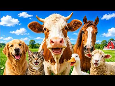 Animal sound for kids š¦š§š± Cute Animal Sound Learn Wild and Farm Animals