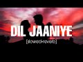 Dil Jaaniye  (Slowed And Reverb) || Lofi Forever