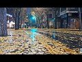 Seoul Gentle Rain Umbrella Ambience Sleep White Noise Relaxing ASMR Tinnitus Relief