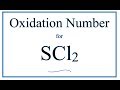 Section Analysis and Key Topics