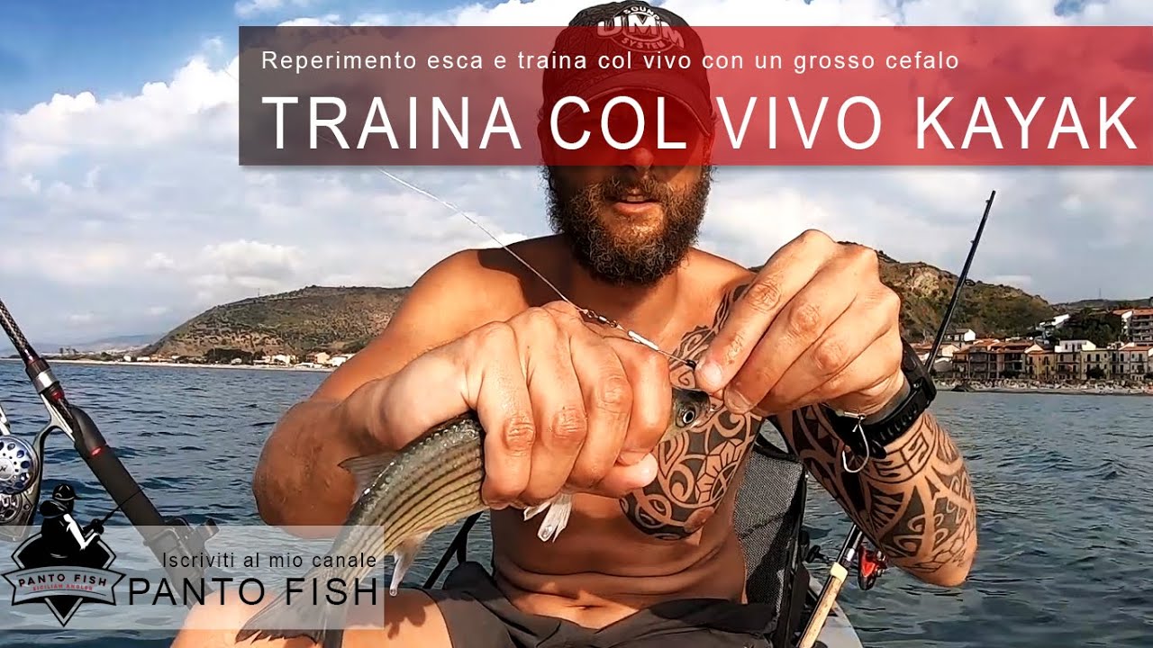 Amo Pesca Traina Col Vivo Jatsui Cut Ssw Red Punta Affilata Anello Amo Pesca Traina Col Vivo Jatsui Cut Ssw Red Punta Affilata Anello