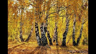 Осенний этюд. Мелодичная релакс музыка. Melodic relaxation music. Autumn etude.