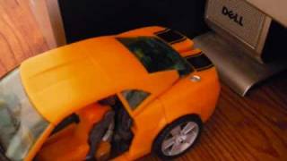 bumble bee stop motion test