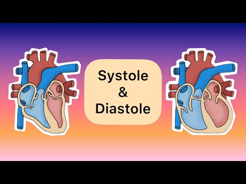 Video: Während der Auswurfphase des Herzzyklus?