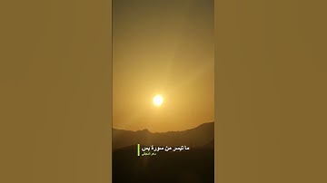 ما تيسر من سورة يس بصوت القارئ ماهر المعيقلي #اكسبلور