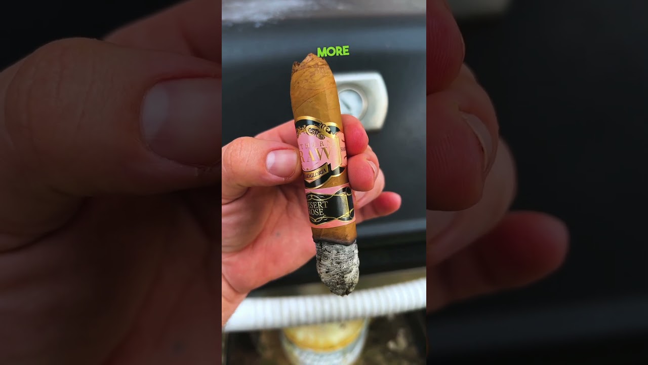 Southern Draw Rose of Sharon: A Tribute to Robert Holt's Journey 