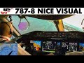 Exciting RARE VISUAL Approach 787 into NICE + Full Briefing