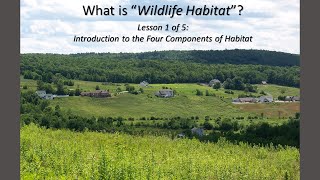 What is Wildlife Habitat?  Lesson 1: Introduction