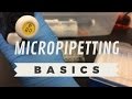 Lab Skills: Micropipetting Basics