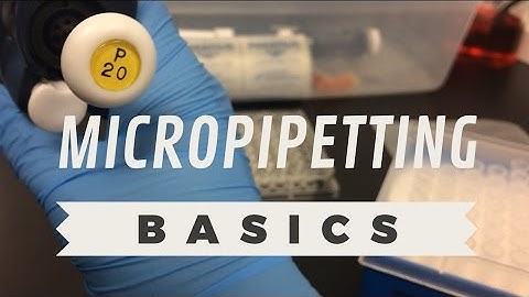 Lab Skills: Micropipetting Basics