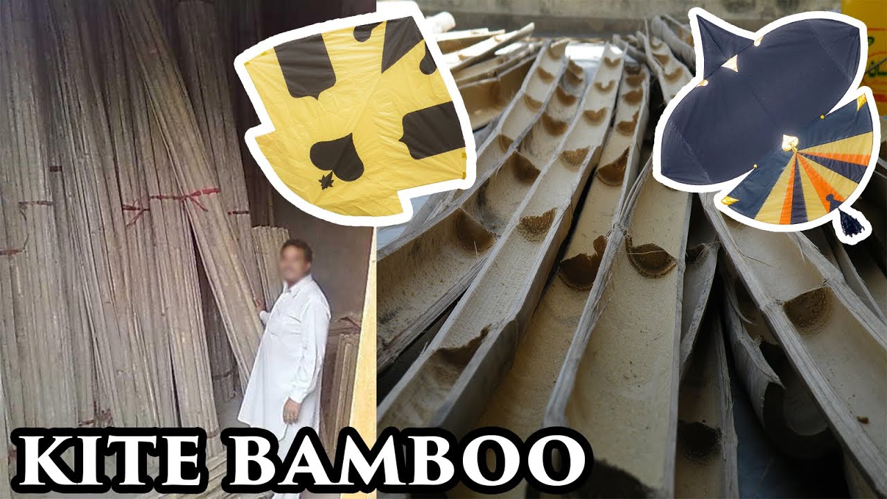 Kite Bamboo for Kite Making and Kite Flying YouTube