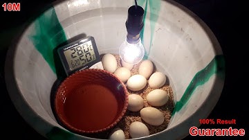 DIY Homemade Incubator For Chicken Eggs || Hatching Eggs | Chicken Egg Incubator