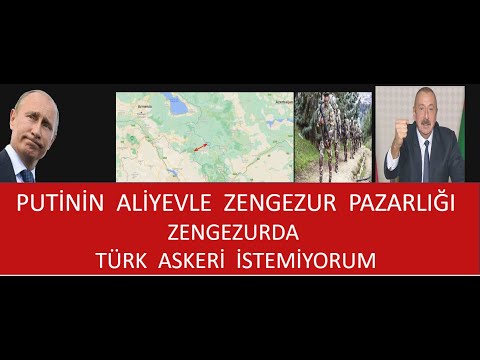 Video: Göyərçinimi uç: kitablar üçün orijinal əlfəcin dizaynı